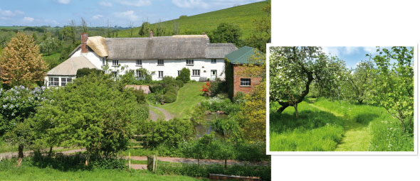 Property-Apr04-09-590