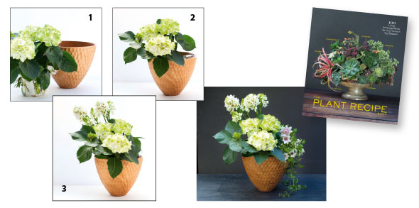 Plant-DROP-INS-2-590